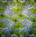 313 Flowers Others - 3-ply - WIDA - 35x35 cm